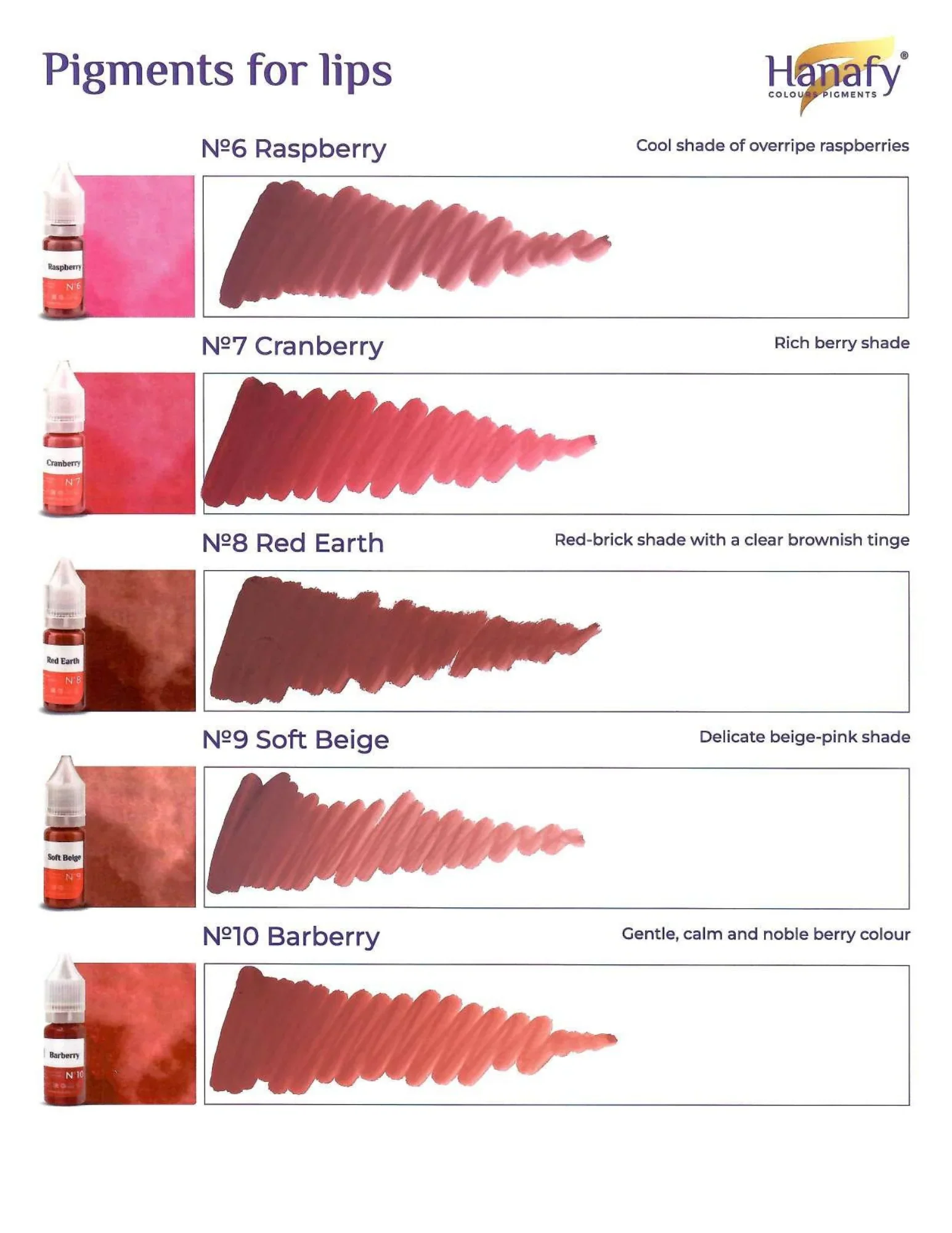 Hanafy Full Lip Pigment Set 10ml - Image 6