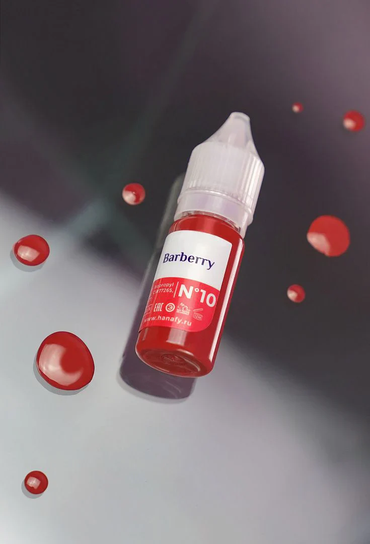 Hanafy Lip Pigment - Barberry N10 - Image 2