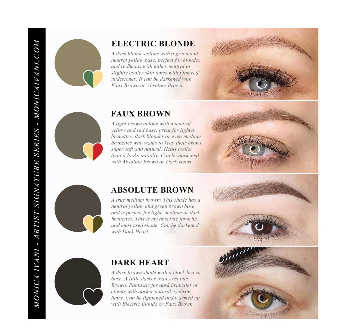 Monica Ivani® - Signature Series Eyebrow Pigment Kit - Image 3
